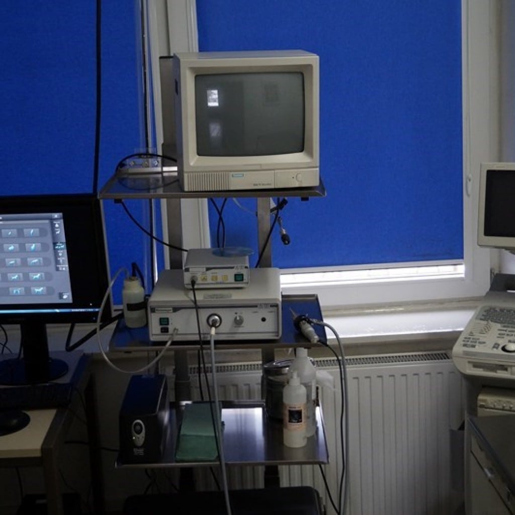 RTG, USG i Endoskopia Lisowski Weterynarz Gorzów Wlkp. Żwirowa 9a